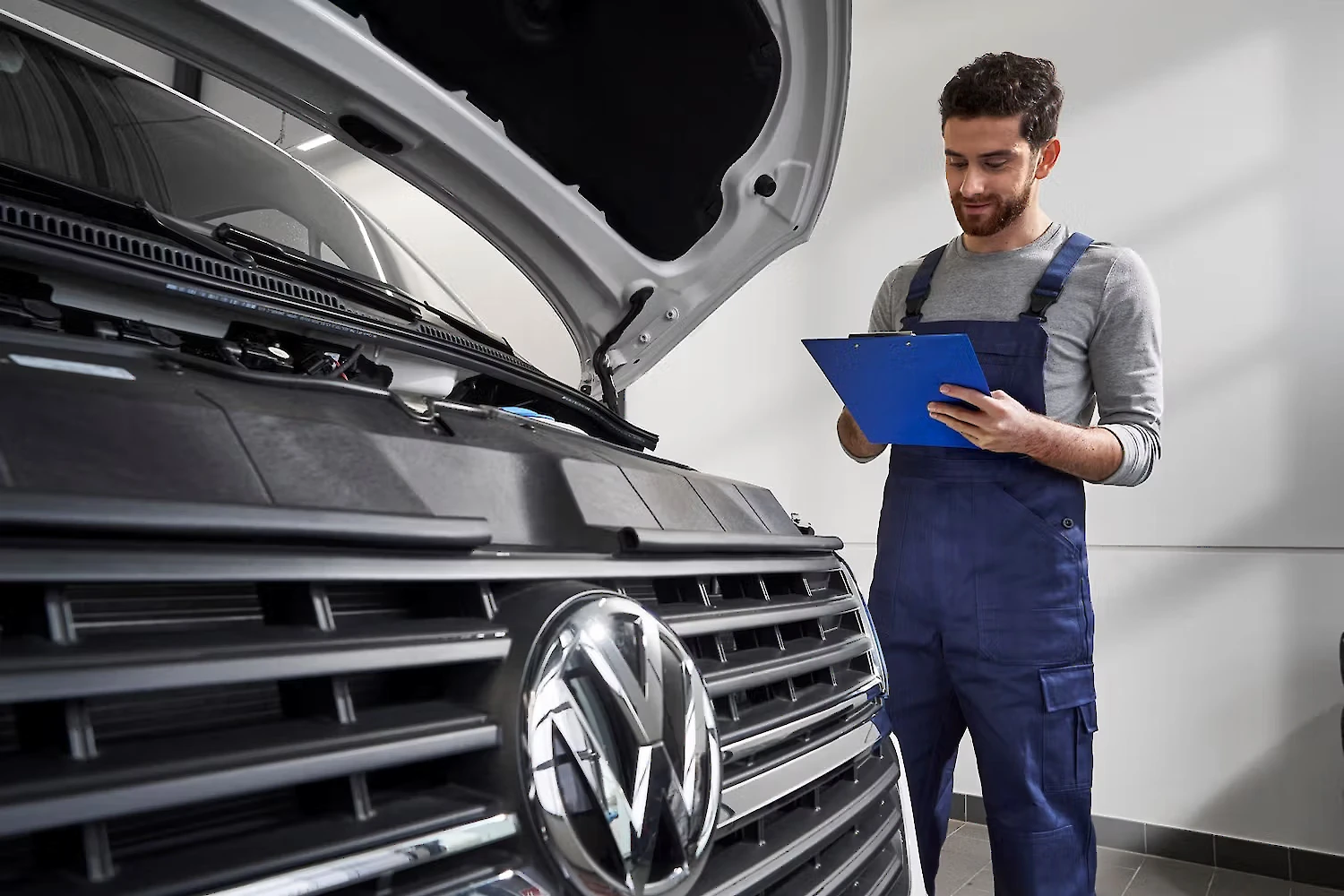 Изображение грид секции